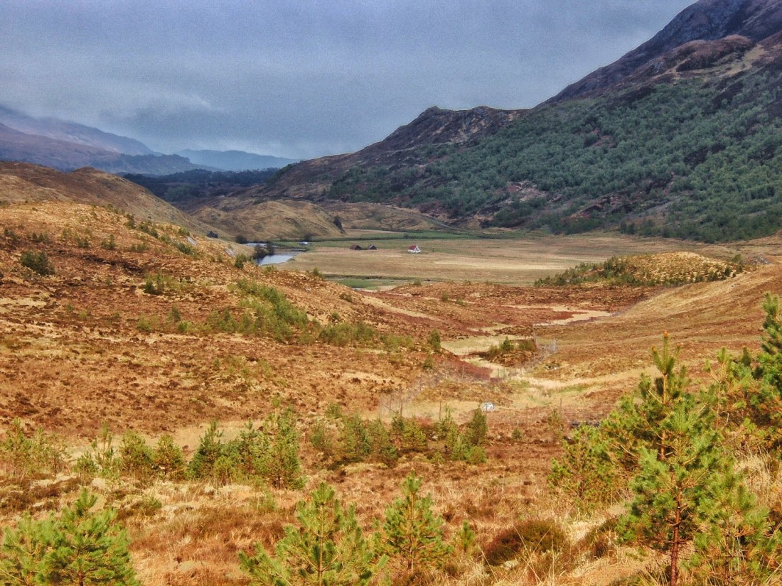 Athnamulloch 1 exclosure and Athnamulloch Bothy, Glen Affric, May 2006