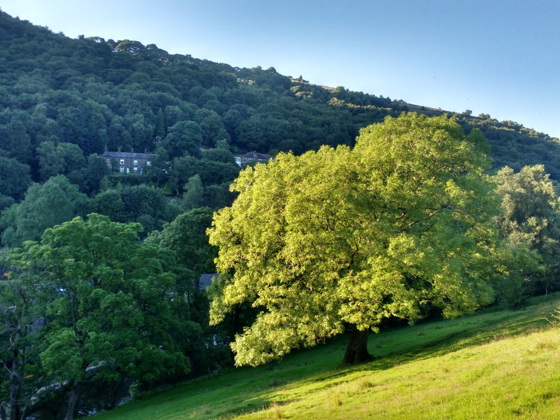 2017.07.24.-IMG_20170724_194951889_HDR