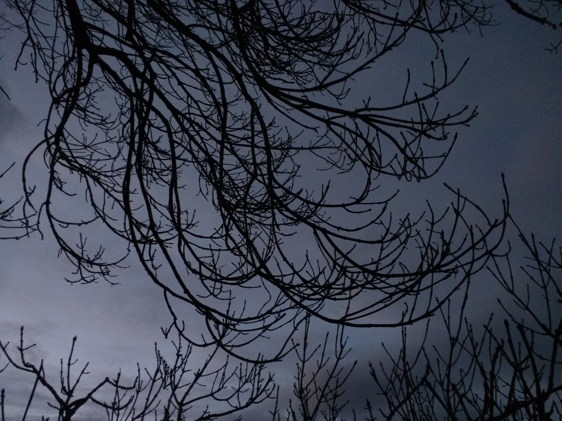 2017.11.04.-IMG_20171104_165124856