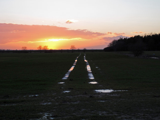 Tractor tracks in the sunset, Tollesbury - Roger Jones