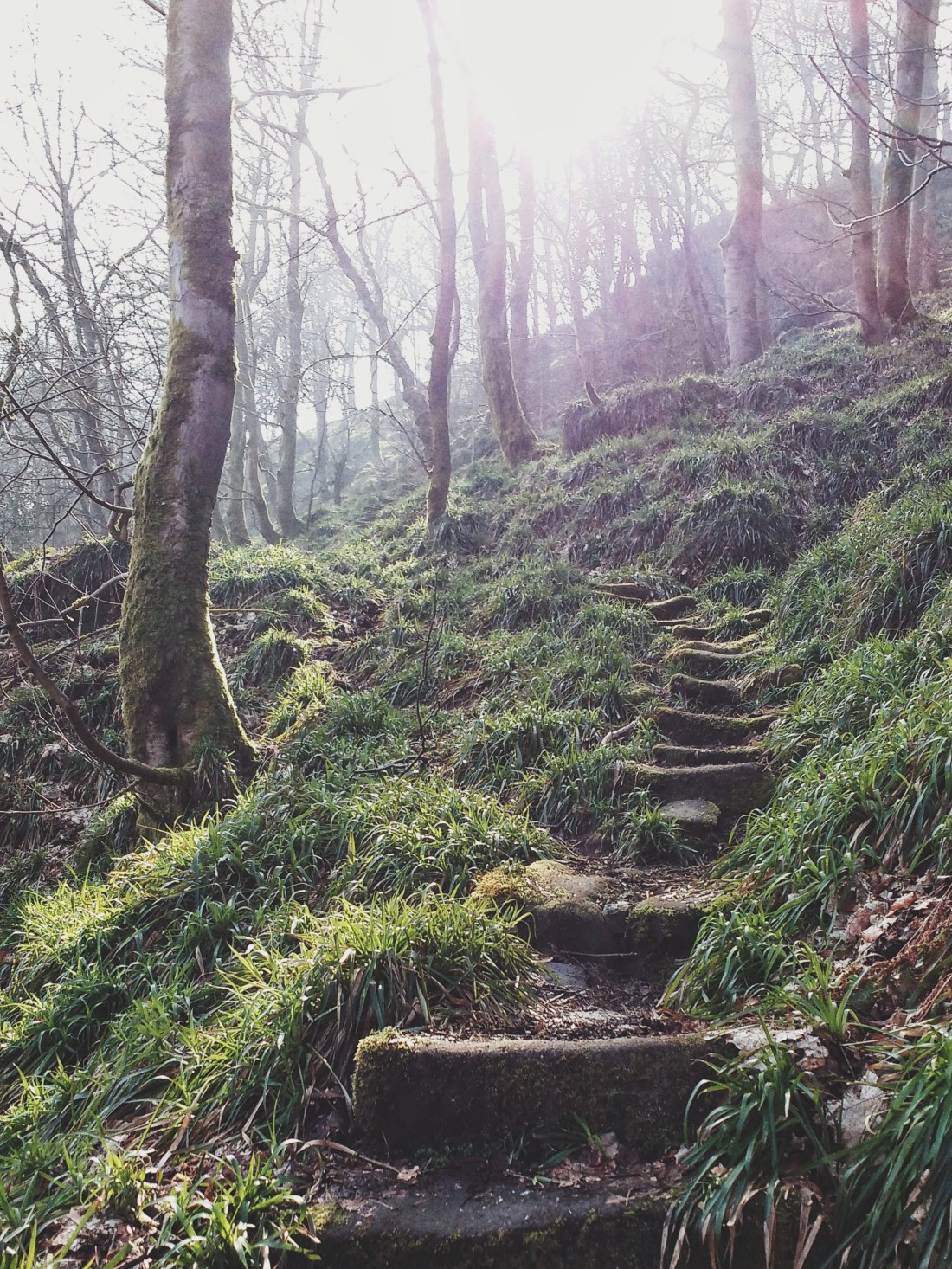 2016.03.13.-IMG_20160313_115559564-01